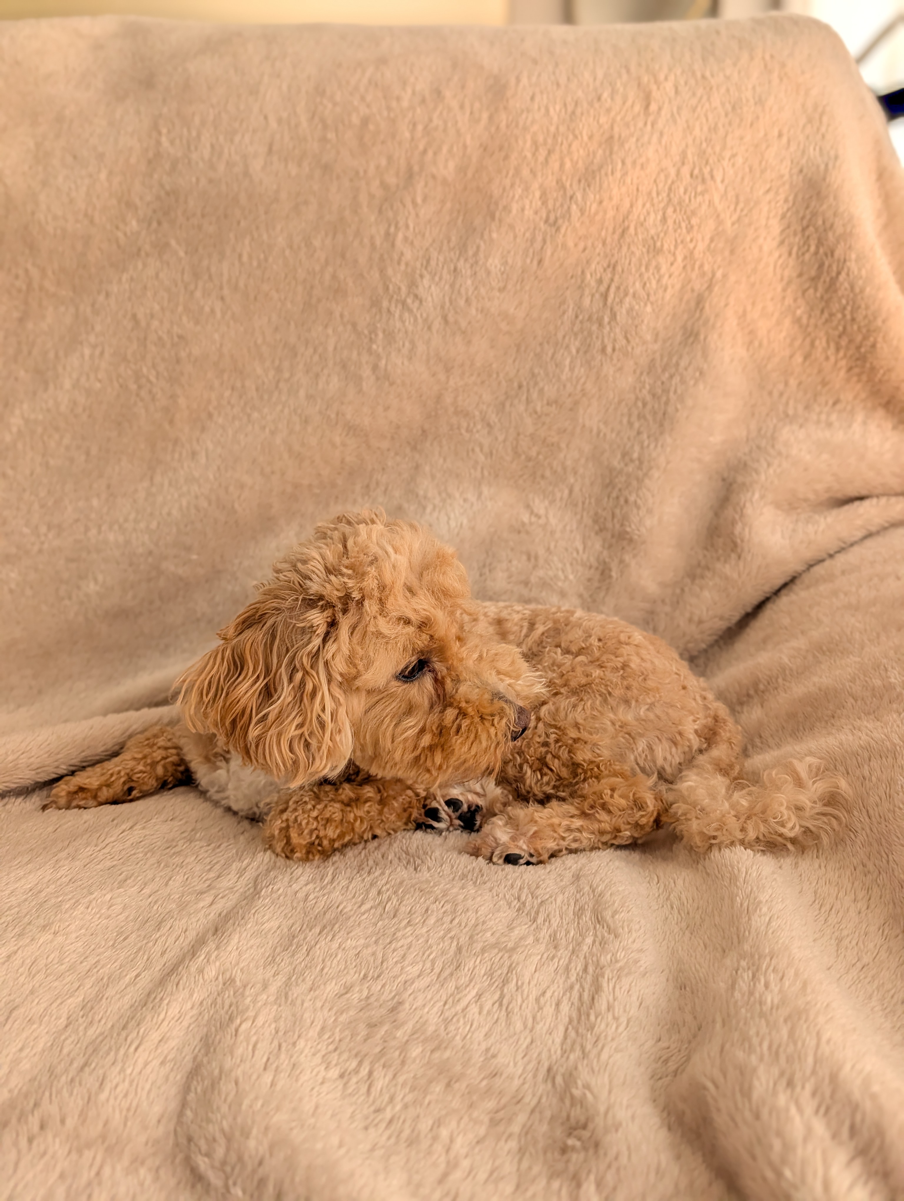 PXL 20251213 011506562.PORTRAIT